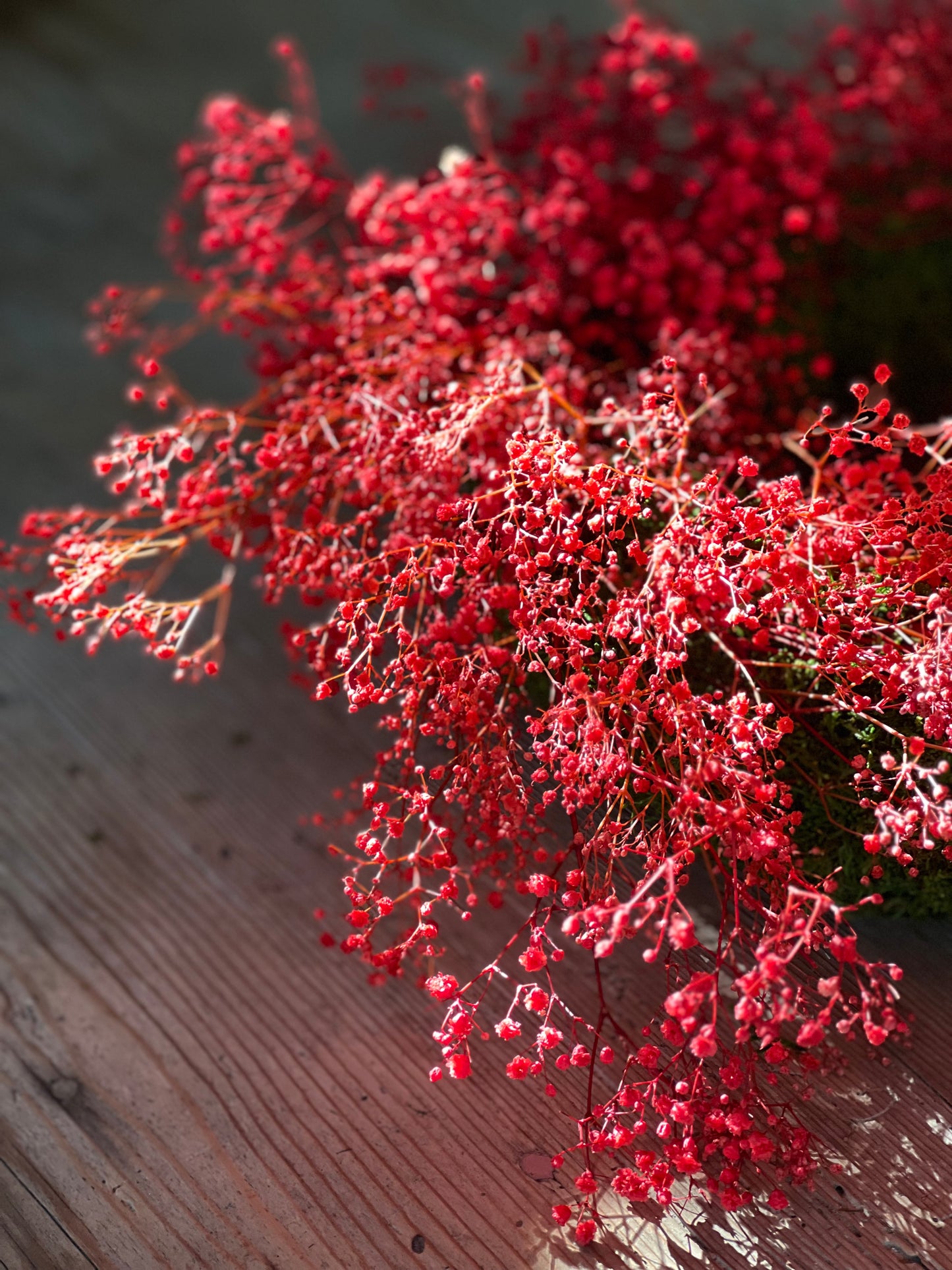 Ghirlanda Gipsophilla Rossa