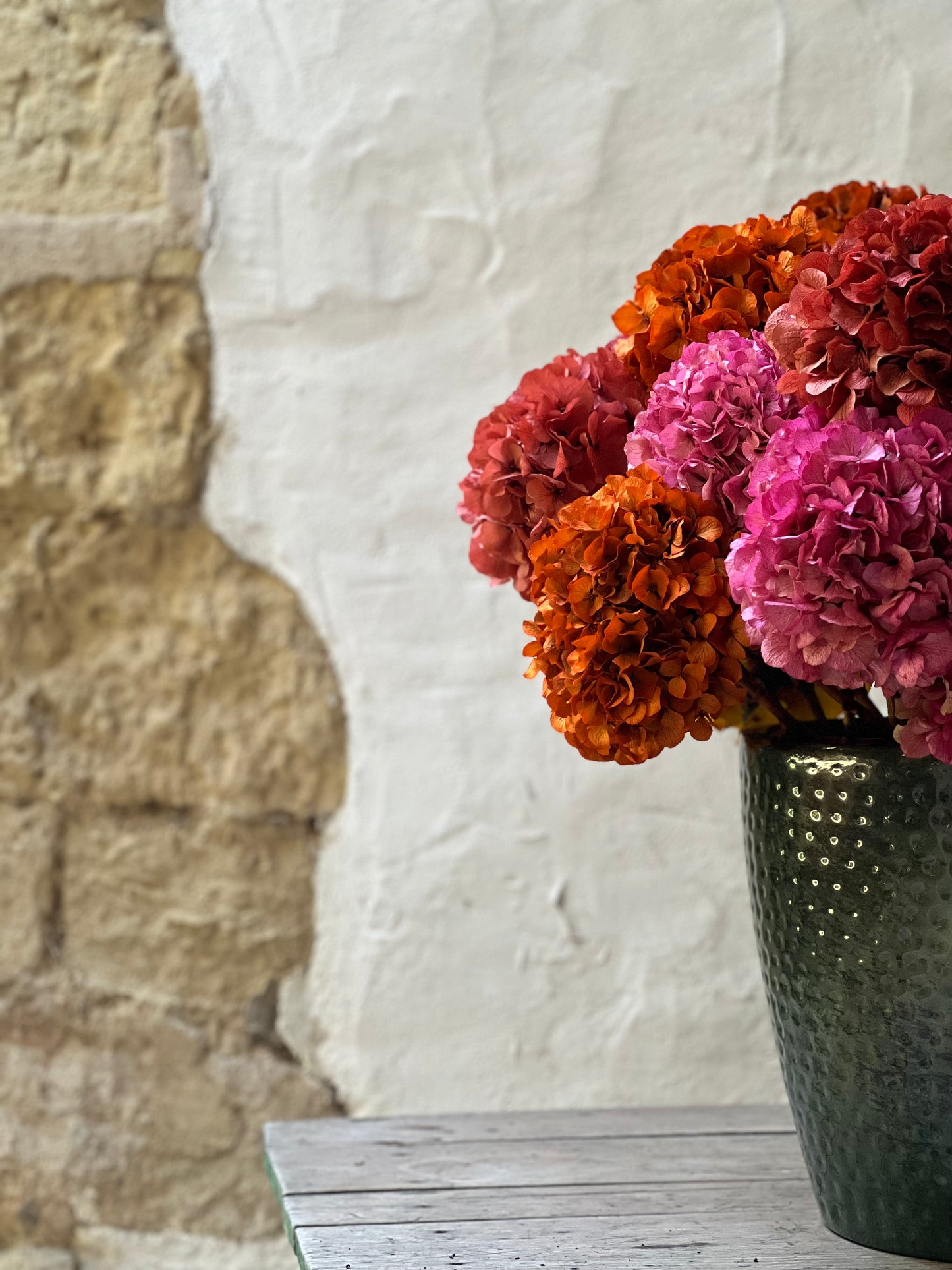 Ortensia Rosa Stabilizzata