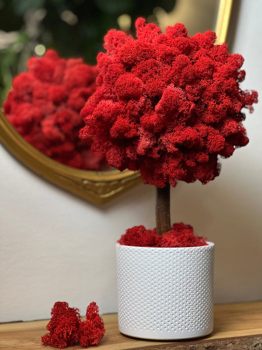 Urban Red