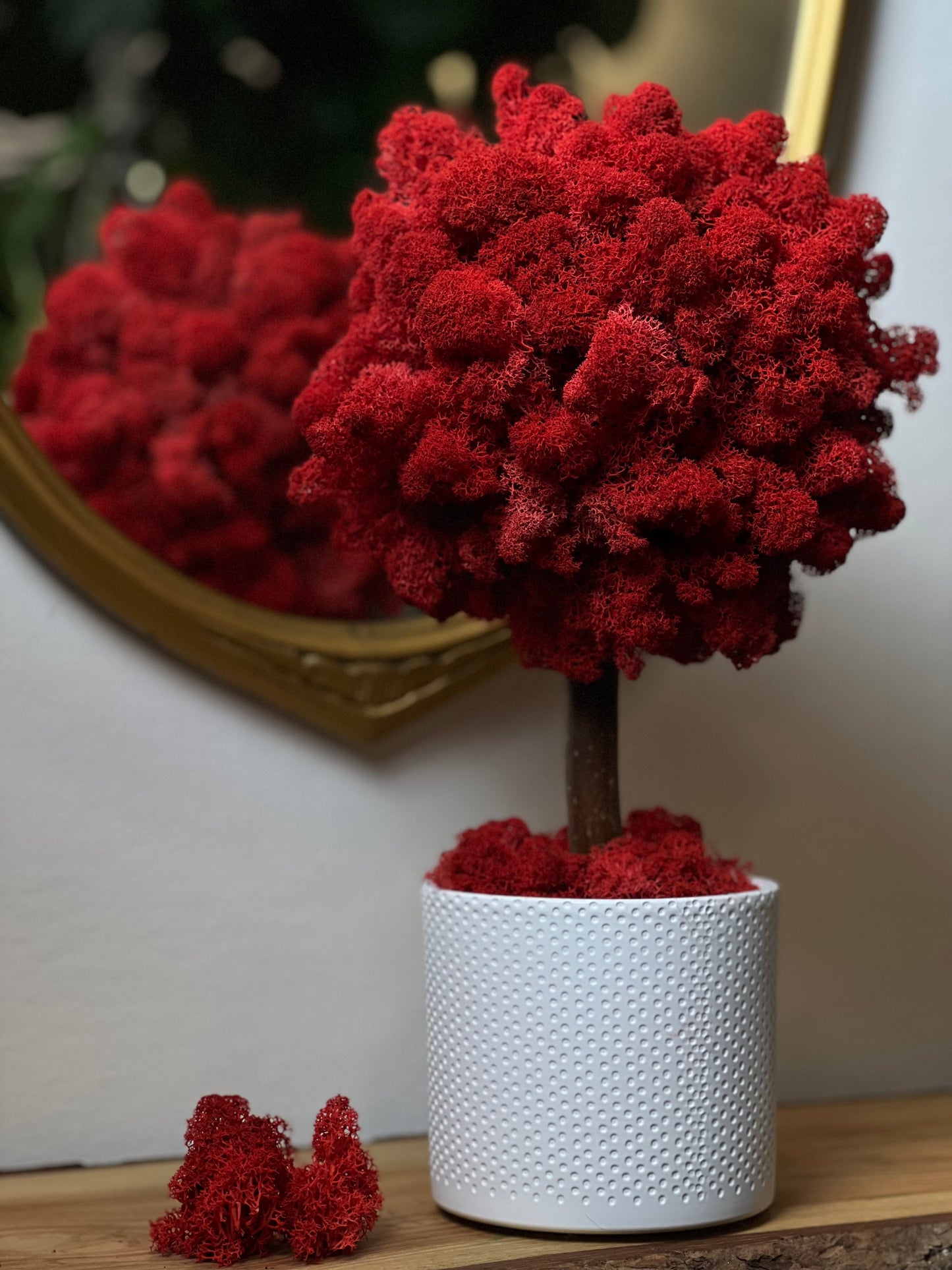 Urban Red
