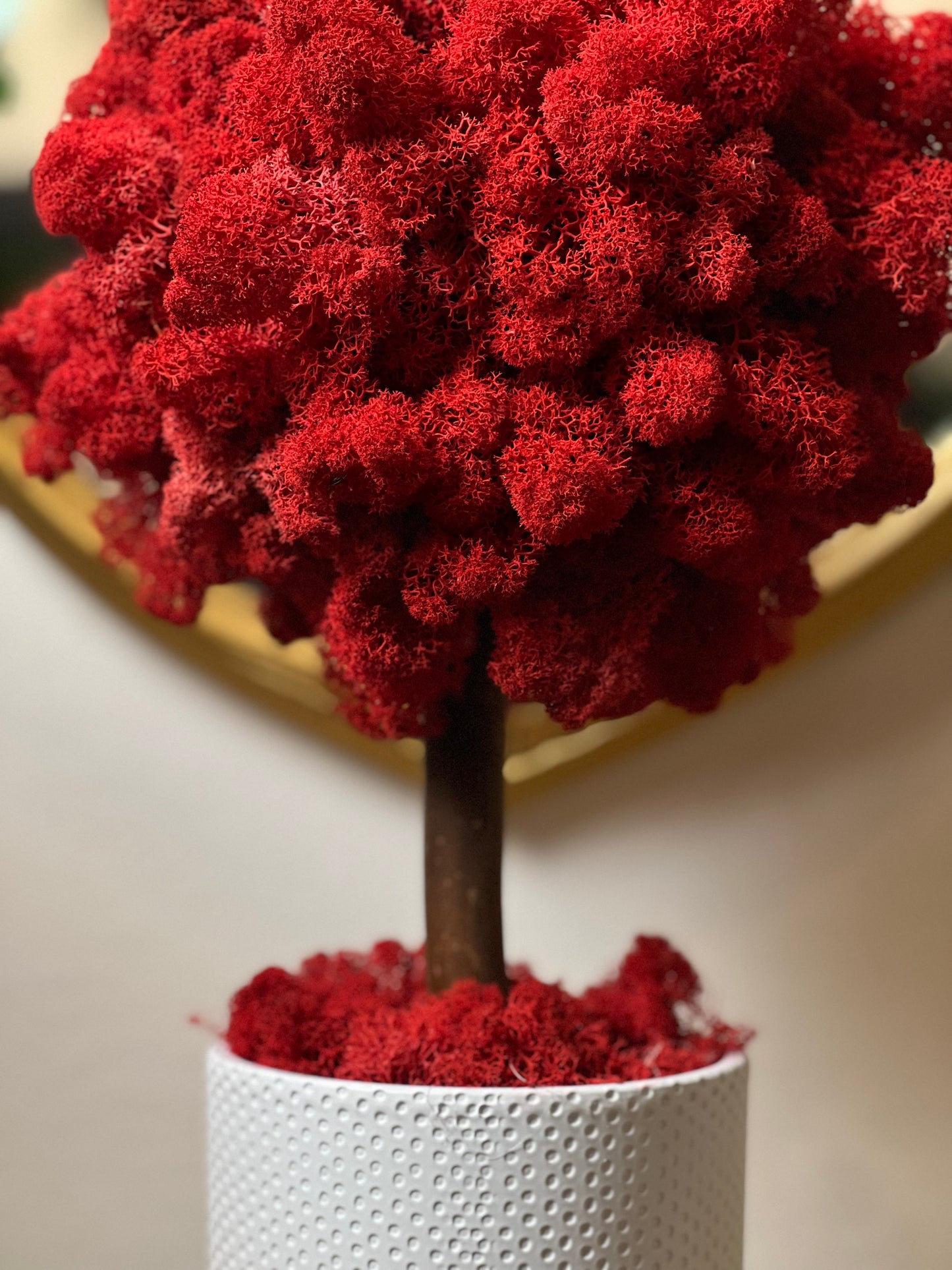 Urban Red