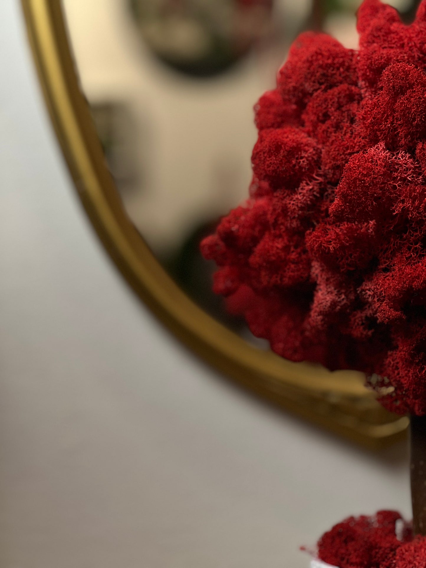 Urban Red