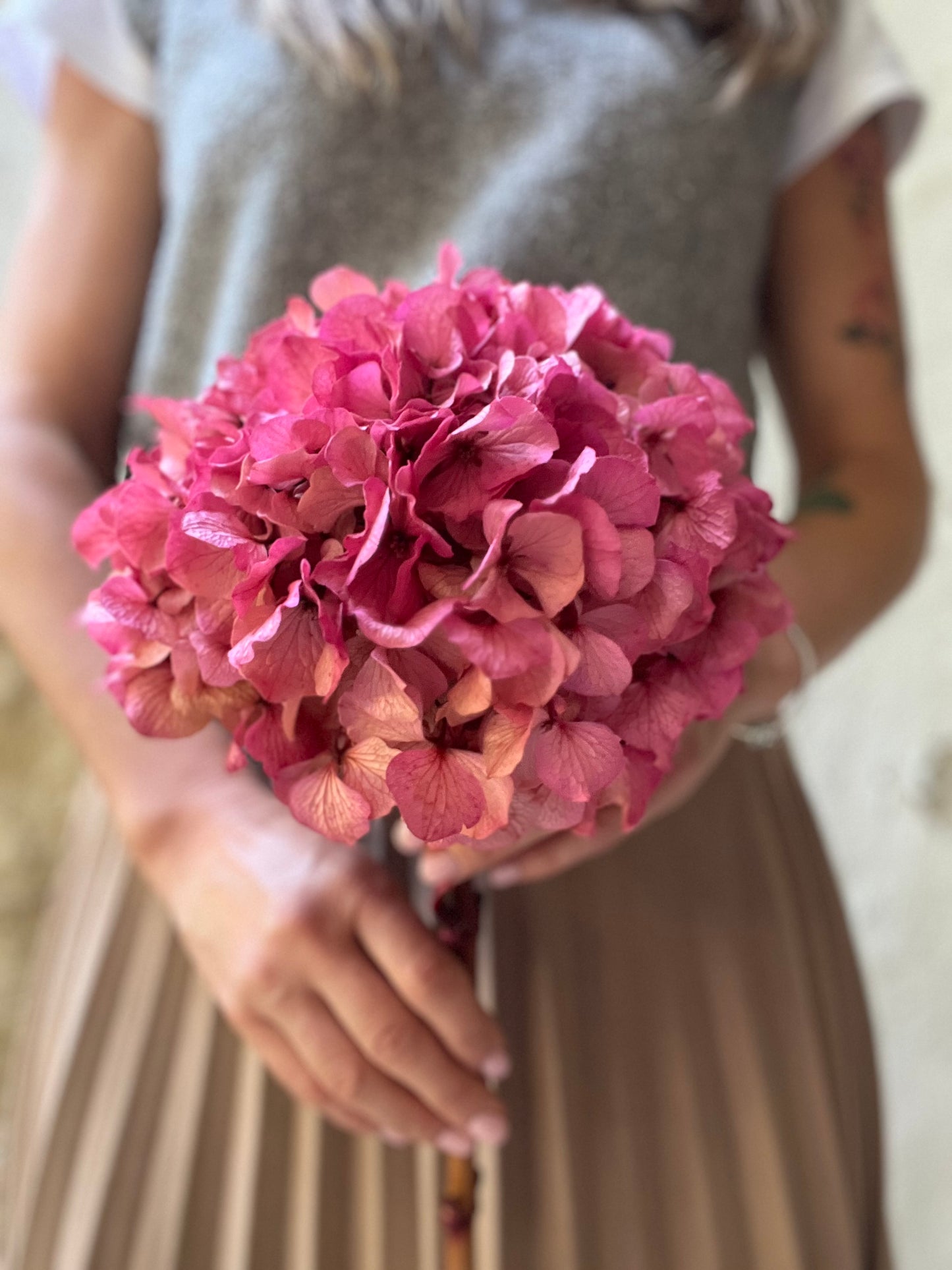 Ortensia Rosa Stabilizzata