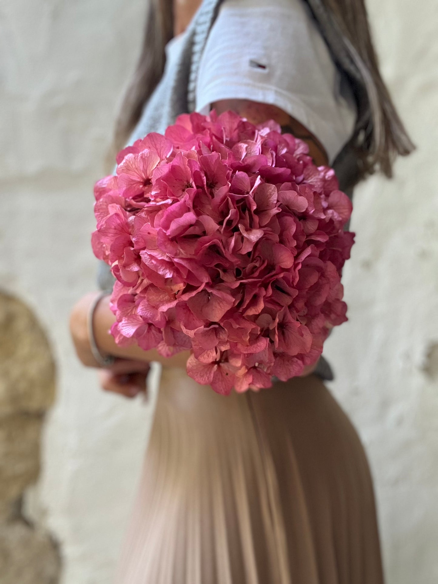 Ortensia Rosa Stabilizzata