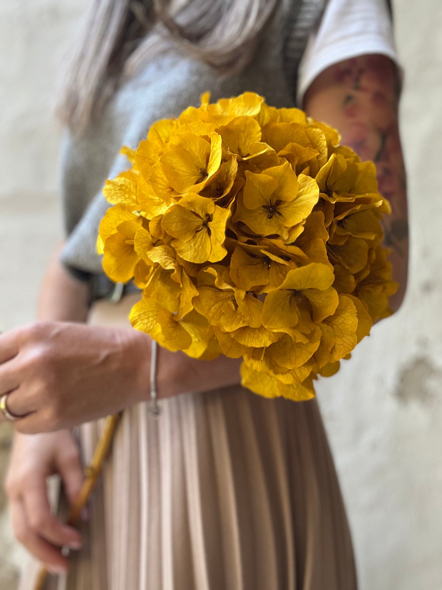 Ortensia Gialla Stabilizzata