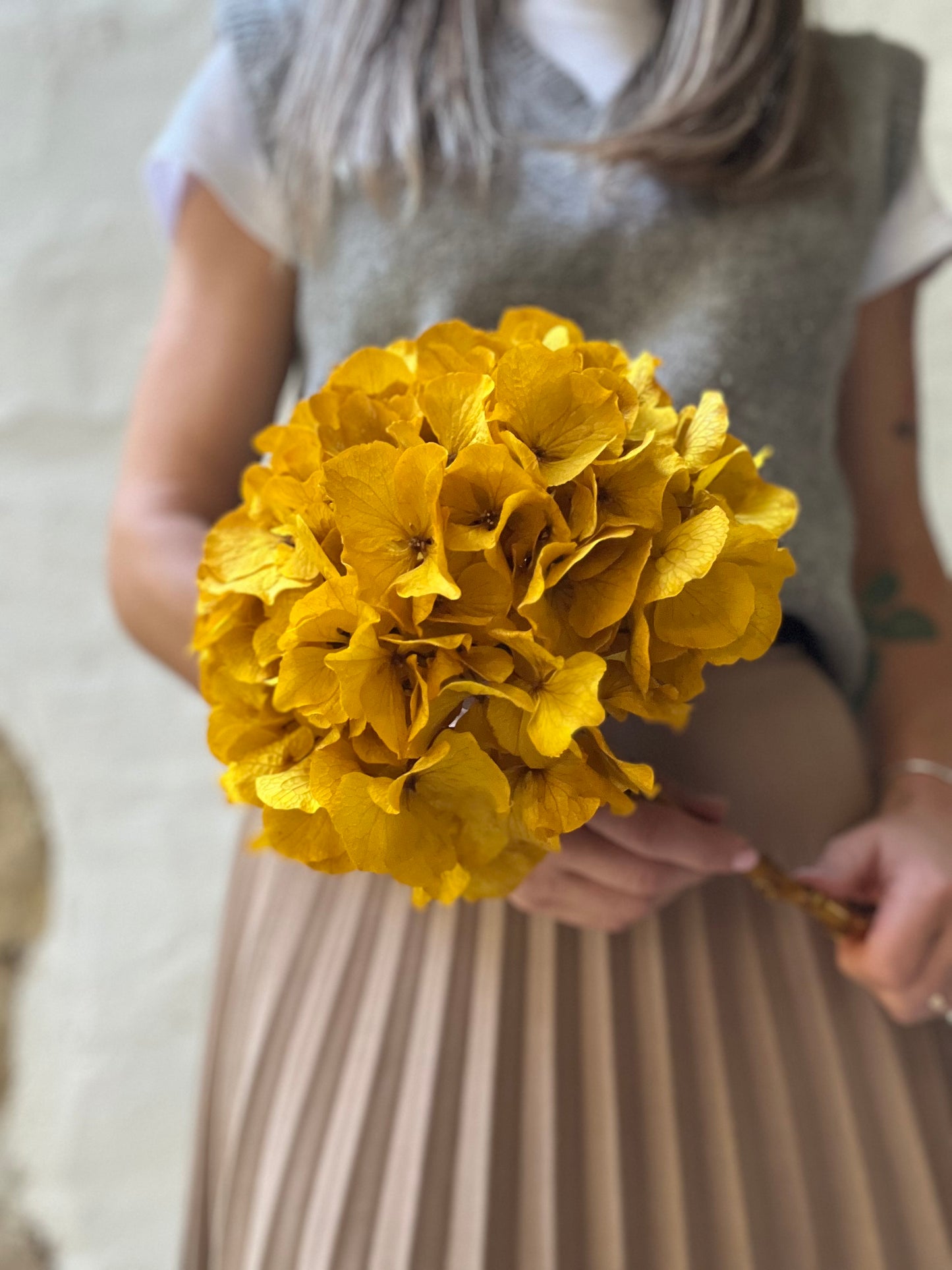 Ortensia Gialla Stabilizzata