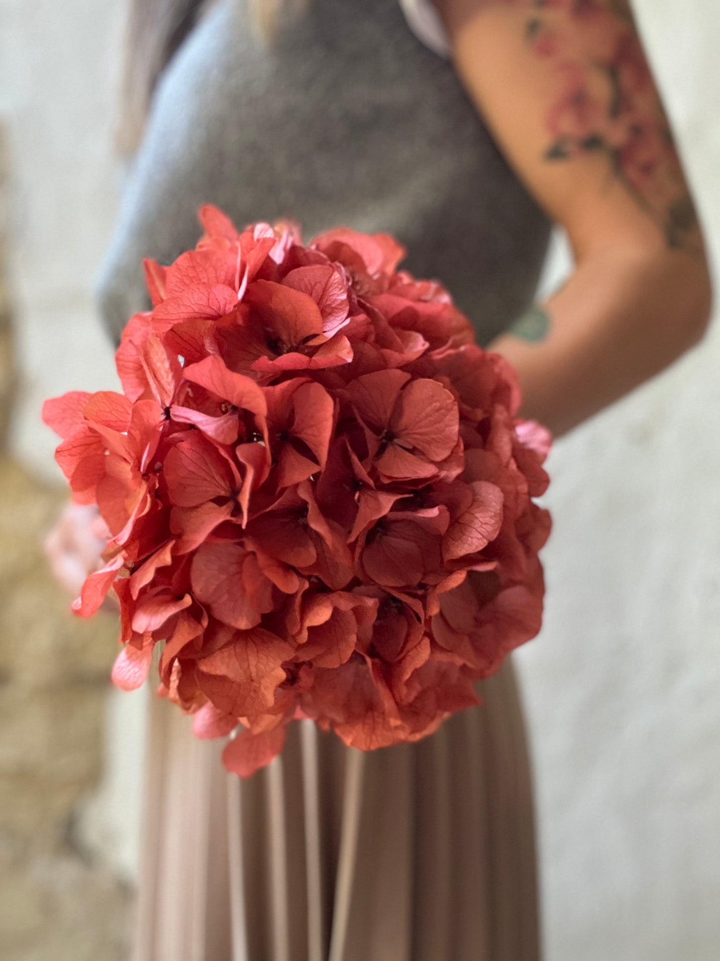 Ortensia Terracotta Stabilizzata