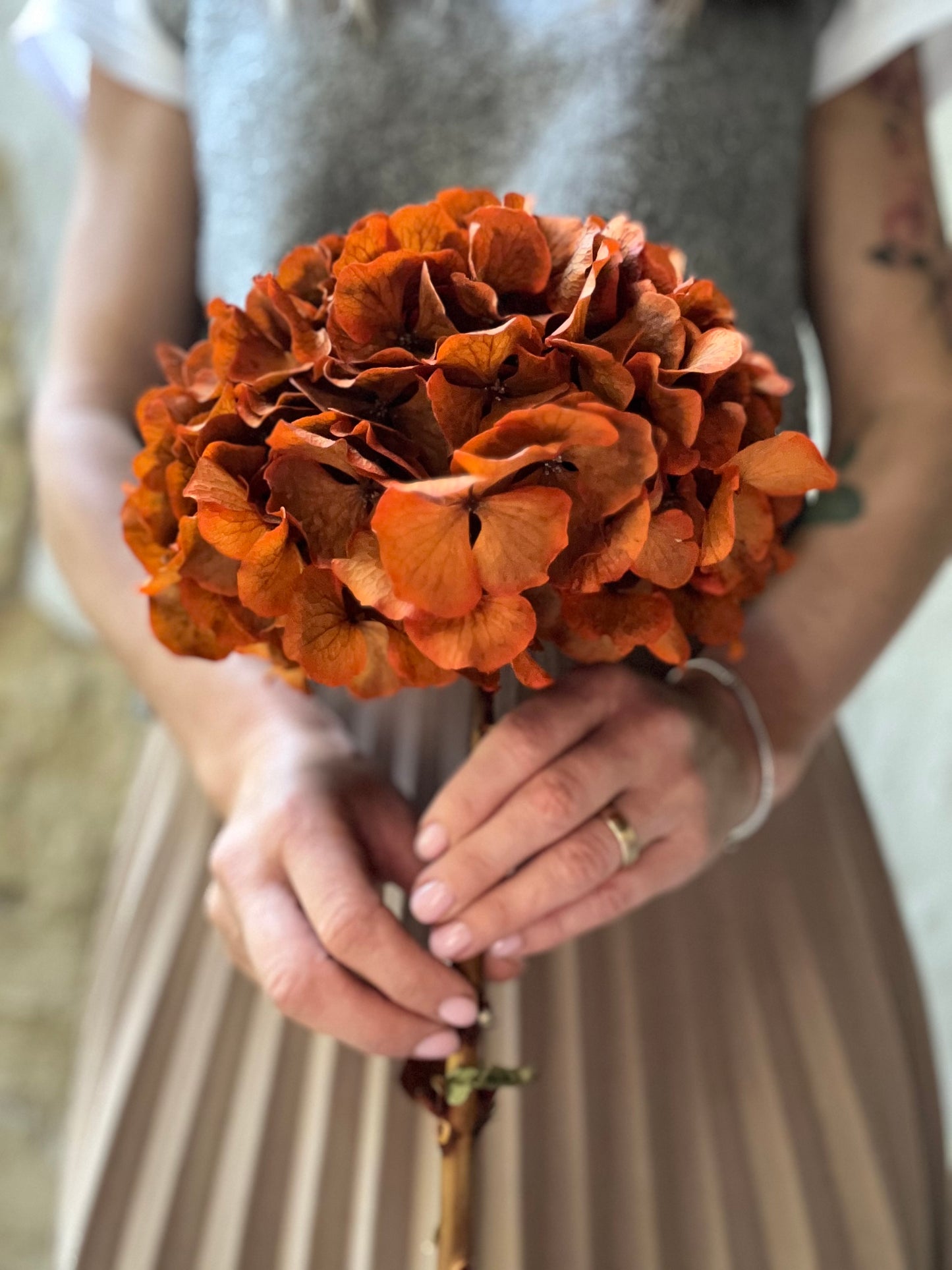 Ortensia Arancio Stabilizzata