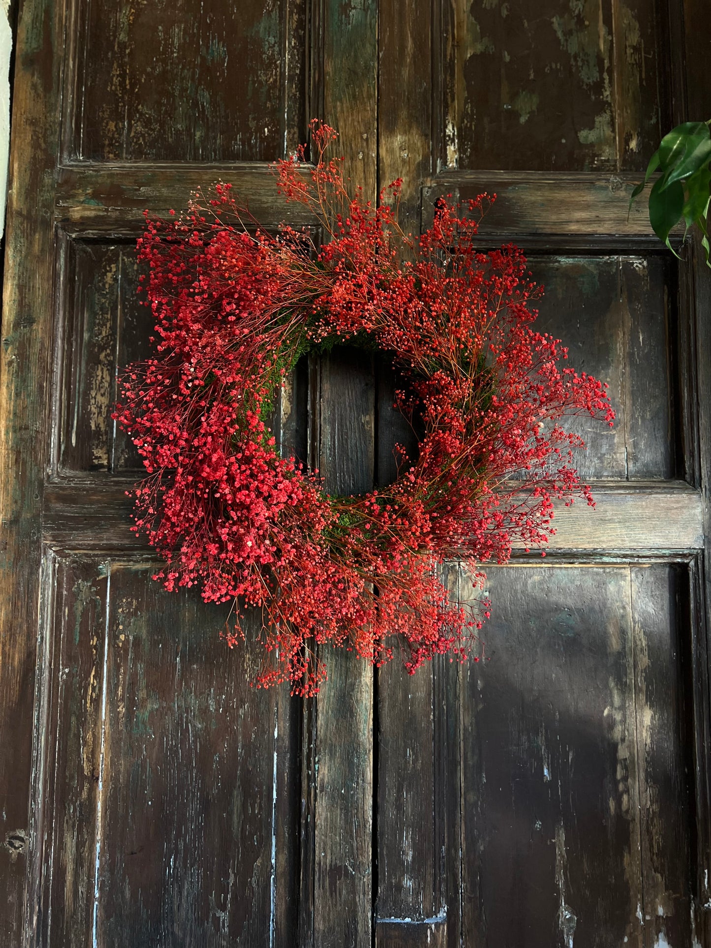 Ghirlanda Gipsophilla Rossa