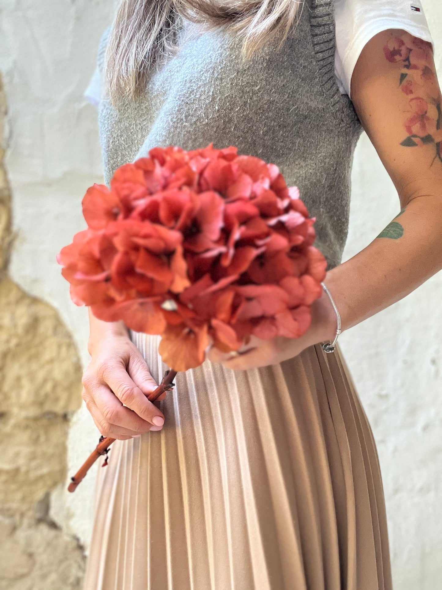 Ortensia Terracotta Stabilizzata