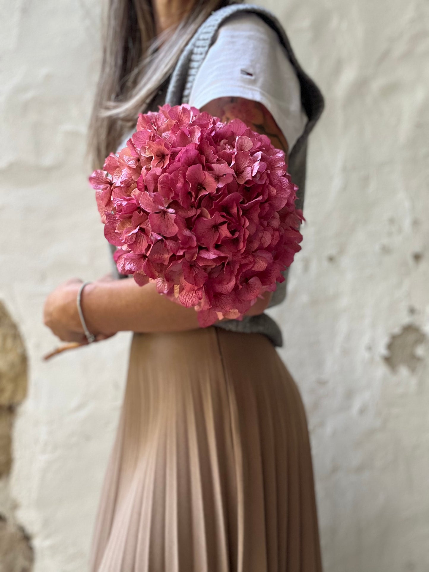 Ortensia Rosa Stabilizzata