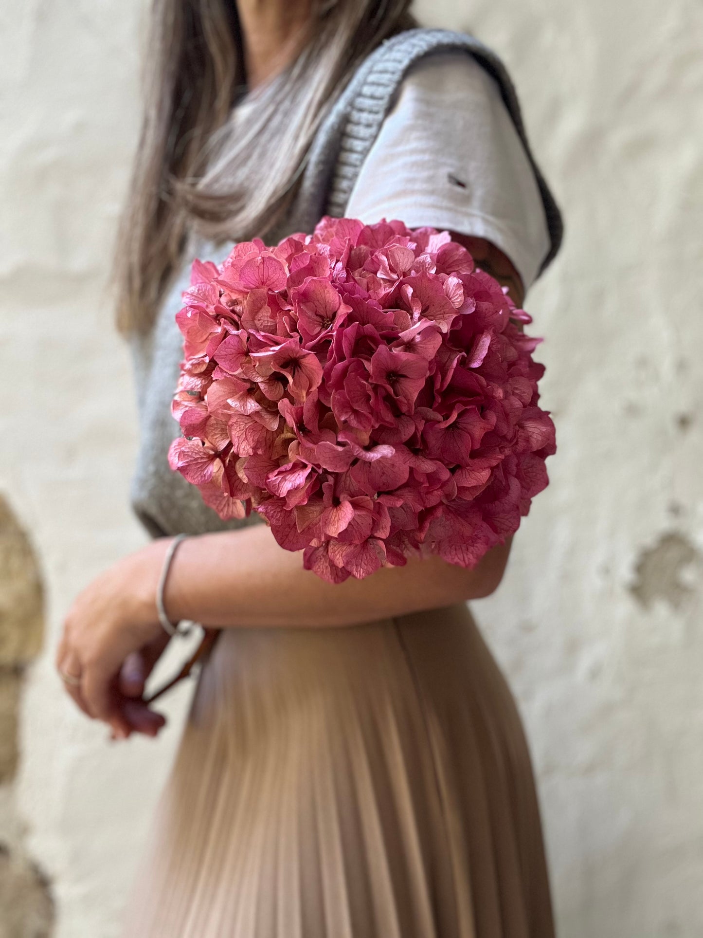 Ortensia Rosa Stabilizzata