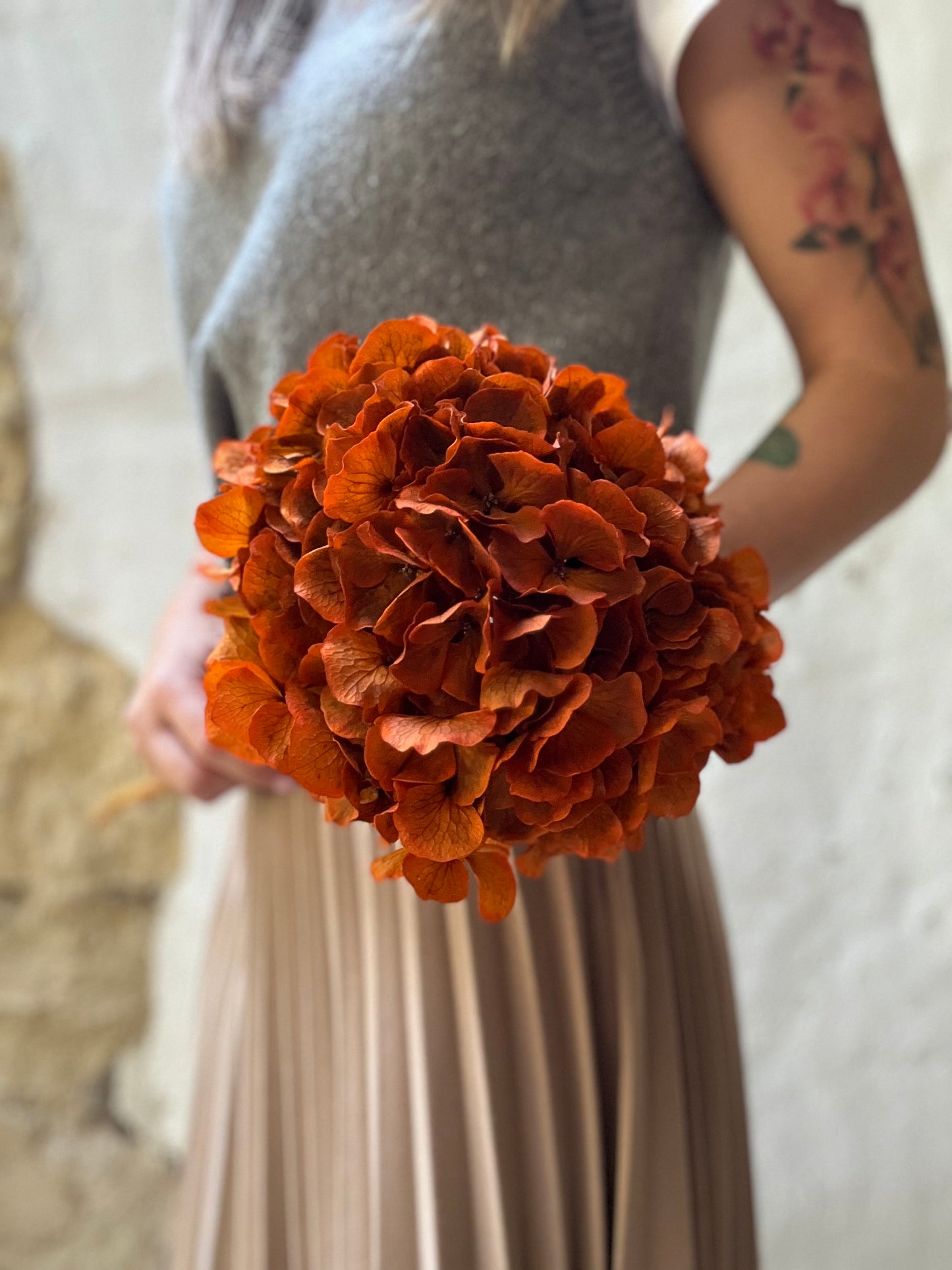 Ortensia Arancio Stabilizzata