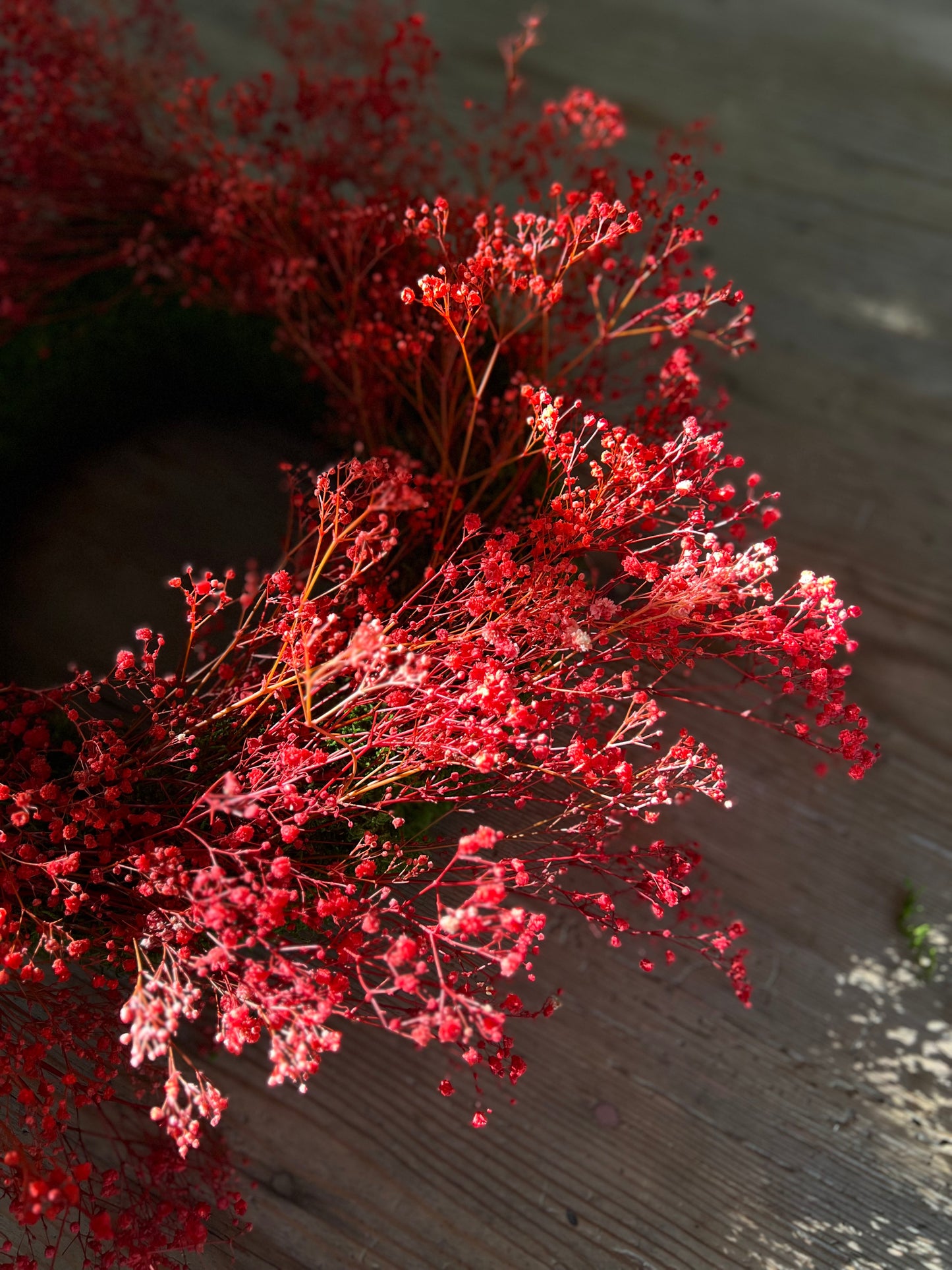 Ghirlanda Gipsophilla Rossa