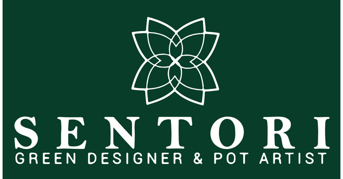 Benvenuti in Sentori Green Artist